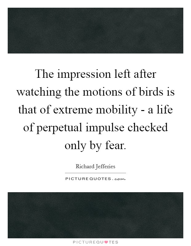 The impression left after watching the motions of birds is that of extreme mobility - a life of perpetual impulse checked only by fear. Picture Quote #1