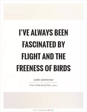 I’ve always been fascinated by flight and the freeness of birds Picture Quote #1