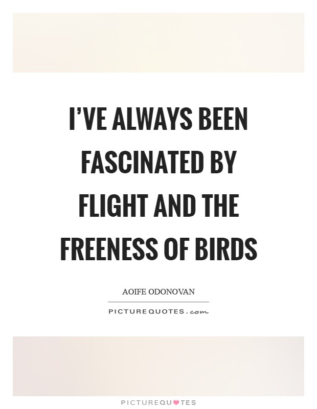 I've always been fascinated by flight and the freeness of birds Picture Quote #1