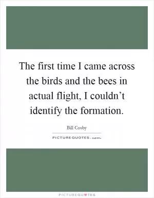 The first time I came across the birds and the bees in actual flight, I couldn’t identify the formation Picture Quote #1