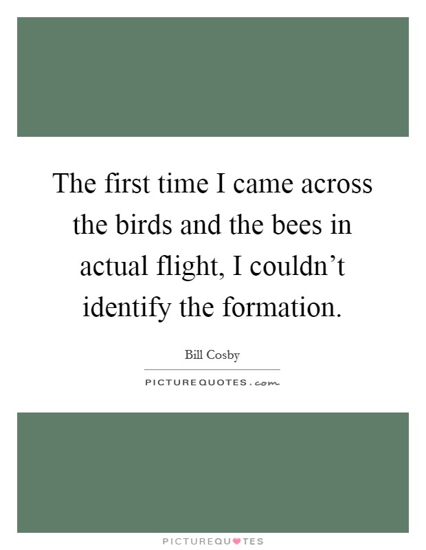 The first time I came across the birds and the bees in actual flight, I couldn't identify the formation. Picture Quote #1