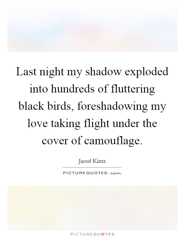Last night my shadow exploded into hundreds of fluttering black birds, foreshadowing my love taking flight under the cover of camouflage. Picture Quote #1