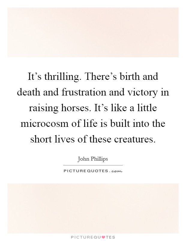 It's thrilling. There's birth and death and frustration and victory in raising horses. It's like a little microcosm of life is built into the short lives of these creatures. Picture Quote #1