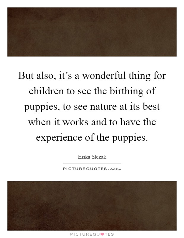 But also, it's a wonderful thing for children to see the birthing of puppies, to see nature at its best when it works and to have the experience of the puppies. Picture Quote #1