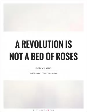 A revolution is not a bed of roses Picture Quote #1