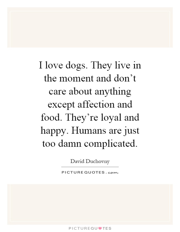 I love dogs. They live in the moment and don't care about anything except affection and food. They're loyal and happy. Humans are just too damn complicated Picture Quote #1
