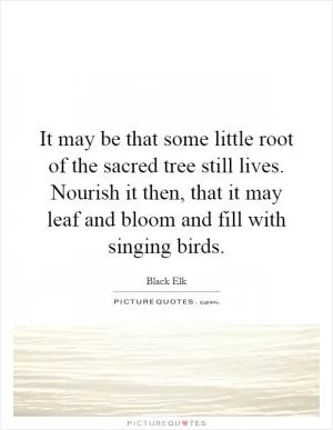 It may be that some little root of the sacred tree still lives. Nourish it then, that it may leaf and bloom and fill with singing birds Picture Quote #1