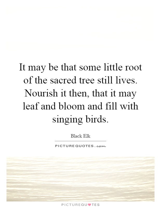 It may be that some little root of the sacred tree still lives. Nourish it then, that it may leaf and bloom and fill with singing birds Picture Quote #1