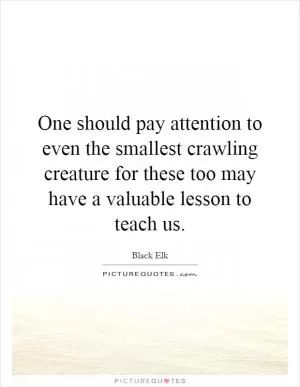 One should pay attention to even the smallest crawling creature for these too may have a valuable lesson to teach us Picture Quote #1