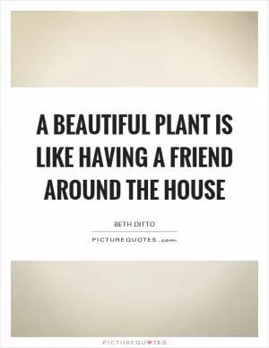A beautiful plant is like having a friend around the house Picture Quote #1
