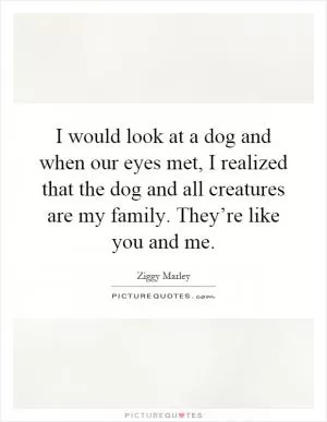 I would look at a dog and when our eyes met, I realized that the dog and all creatures are my family. They’re like you and me Picture Quote #1