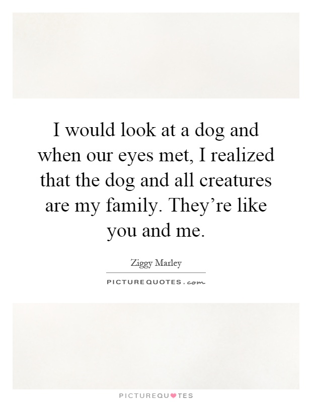 I would look at a dog and when our eyes met, I realized that the dog and all creatures are my family. They're like you and me Picture Quote #1
