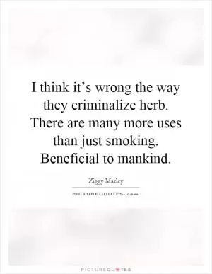 I think it’s wrong the way they criminalize herb. There are many more uses than just smoking. Beneficial to mankind Picture Quote #1