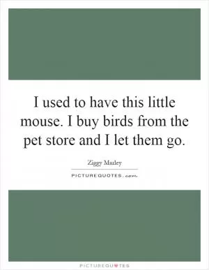 I used to have this little mouse. I buy birds from the pet store and I let them go Picture Quote #1