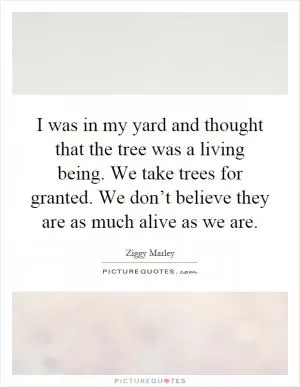 I was in my yard and thought that the tree was a living being. We take trees for granted. We don’t believe they are as much alive as we are Picture Quote #1