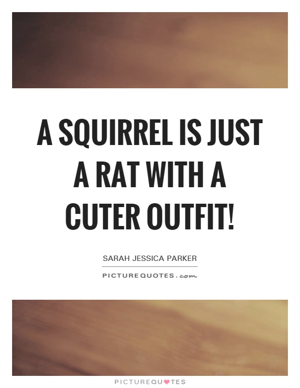 A squirrel is just a rat with a cuter outfit! Picture Quote #1