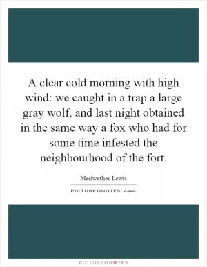 A clear cold morning with high wind: we caught in a trap a large gray wolf, and last night obtained in the same way a fox who had for some time infested the neighbourhood of the fort Picture Quote #1