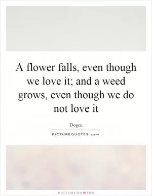 A flower falls, even though we love it; and a weed grows, even though we do not love it Picture Quote #1