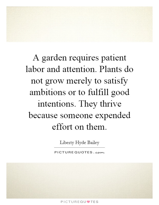 A garden requires patient labor and attention. Plants do not grow merely to satisfy ambitions or to fulfill good intentions. They thrive because someone expended effort on them Picture Quote #1