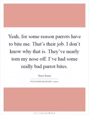 Yeah, for some reason parrots have to bite me. That’s their job. I don’t know why that is. They’ve nearly torn my nose off. I’ve had some really bad parrot bites Picture Quote #1
