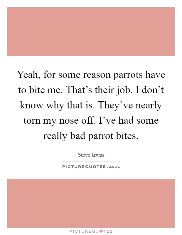 Yeah, for some reason parrots have to bite me. That's their job. I don't know why that is. They've nearly torn my nose off. I've had some really bad parrot bites. Picture Quote #1