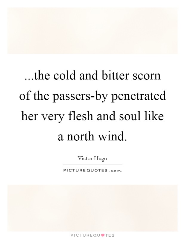 ...the cold and bitter scorn of the passers-by penetrated her very flesh and soul like a north wind. Picture Quote #1