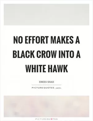 No effort makes a black crow into a white hawk Picture Quote #1