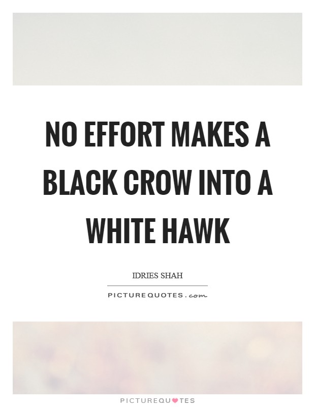 No effort makes a black crow into a white hawk Picture Quote #1
