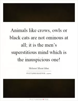 Animals like crows, owls or black cats are not ominous at all; it is the men’s superstitious mind which is the inauspicious one! Picture Quote #1