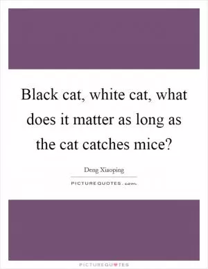 Black cat, white cat, what does it matter as long as the cat catches mice? Picture Quote #1