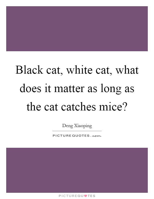 Black cat, white cat, what does it matter as long as the cat catches mice? Picture Quote #1