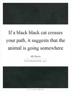 If a black black cat crosses your path, it suggests that the animal is going somewhere Picture Quote #1