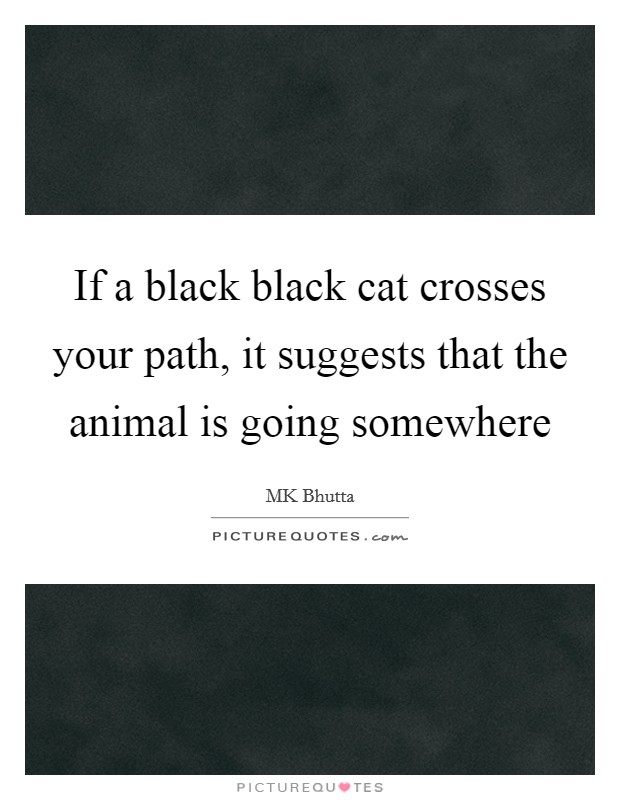 If a black black cat crosses your path, it suggests that the animal is going somewhere Picture Quote #1