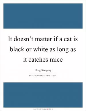 It doesn’t matter if a cat is black or white as long as it catches mice Picture Quote #1