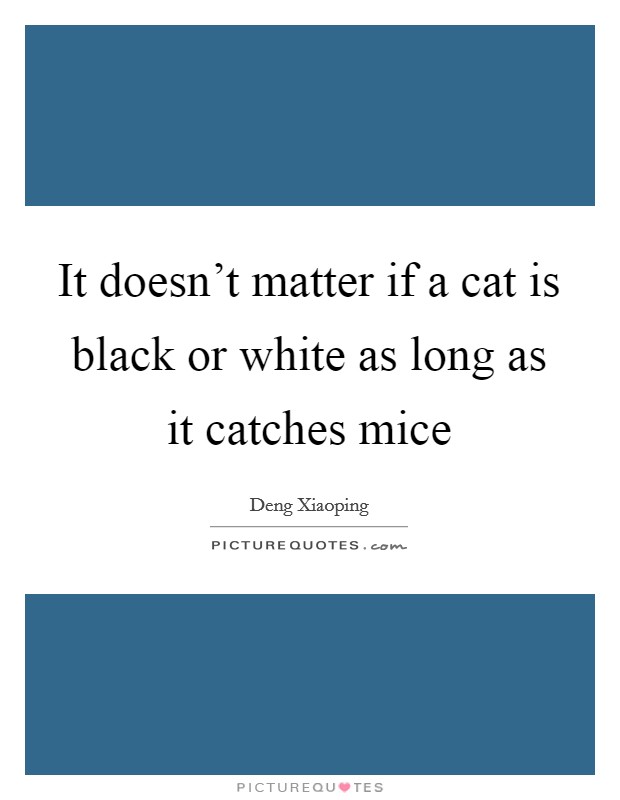It doesn't matter if a cat is black or white as long as it catches mice Picture Quote #1