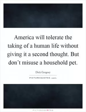 America will tolerate the taking of a human life without giving it a second thought. But don’t misuse a household pet Picture Quote #1