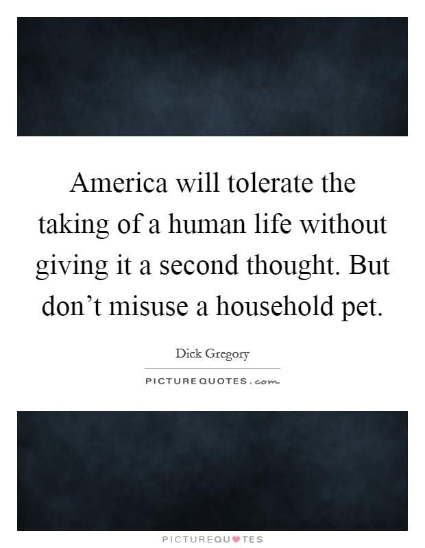 America will tolerate the taking of a human life without giving it a second thought. But don't misuse a household pet. Picture Quote #1