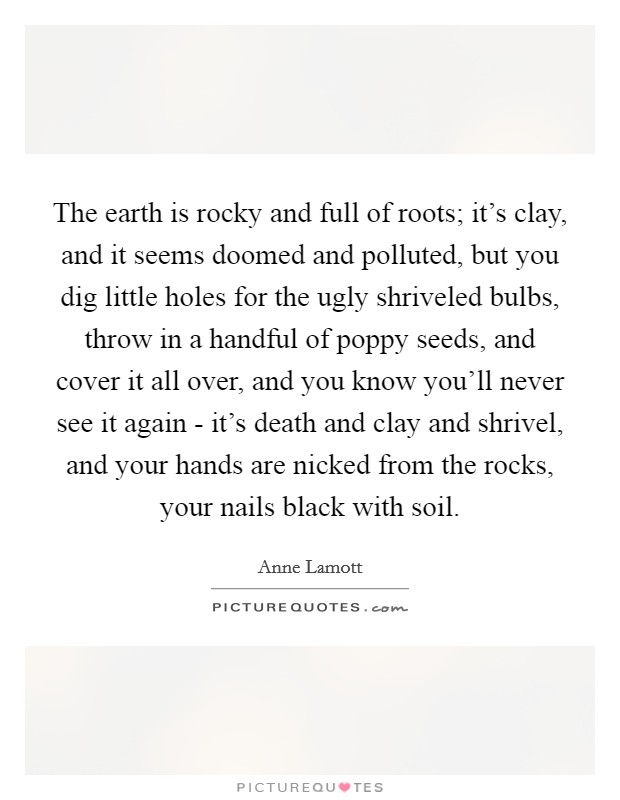 The earth is rocky and full of roots; it's clay, and it seems doomed and polluted, but you dig little holes for the ugly shriveled bulbs, throw in a handful of poppy seeds, and cover it all over, and you know you'll never see it again - it's death and clay and shrivel, and your hands are nicked from the rocks, your nails black with soil. Picture Quote #1