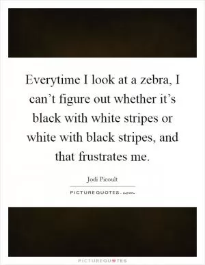 Everytime I look at a zebra, I can’t figure out whether it’s black with white stripes or white with black stripes, and that frustrates me Picture Quote #1