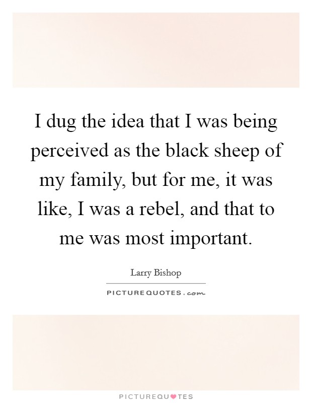 I dug the idea that I was being perceived as the black sheep of my family, but for me, it was like, I was a rebel, and that to me was most important. Picture Quote #1