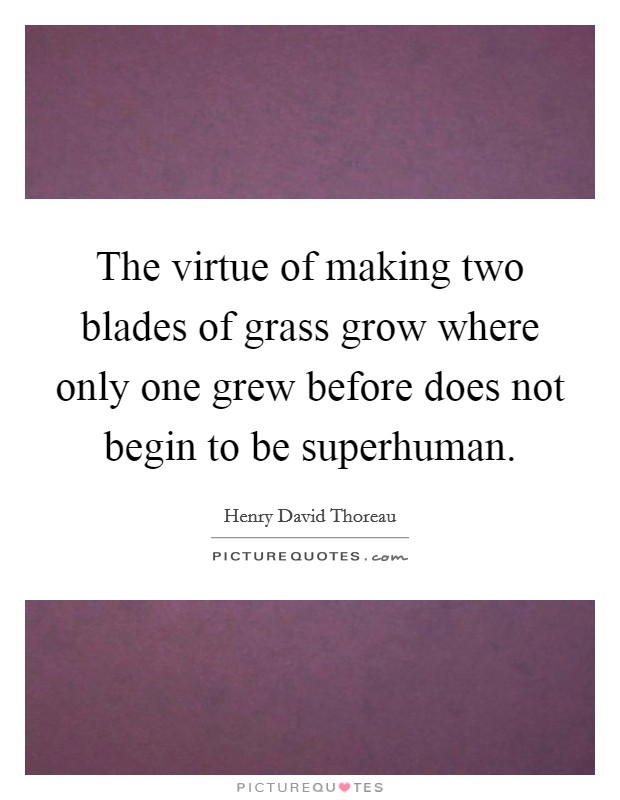 The virtue of making two blades of grass grow where only one grew before does not begin to be superhuman. Picture Quote #1