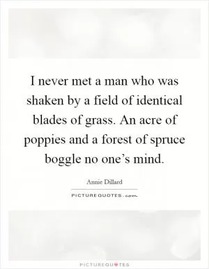 I never met a man who was shaken by a field of identical blades of grass. An acre of poppies and a forest of spruce boggle no one’s mind Picture Quote #1