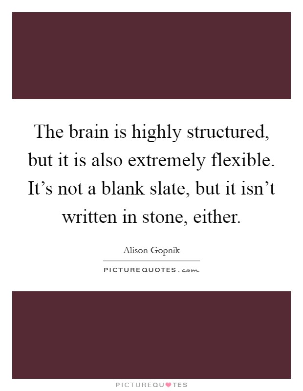 The brain is highly structured, but it is also extremely flexible. It's not a blank slate, but it isn't written in stone, either. Picture Quote #1