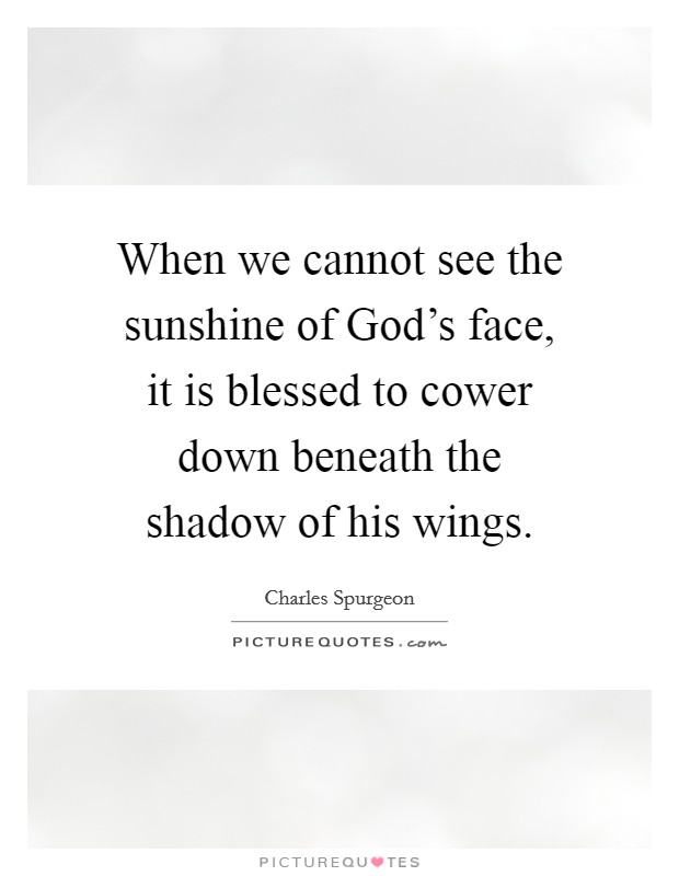 When we cannot see the sunshine of God's face, it is blessed to cower down beneath the shadow of his wings. Picture Quote #1