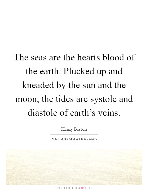 The seas are the hearts blood of the earth. Plucked up and kneaded by the sun and the moon, the tides are systole and diastole of earth's veins. Picture Quote #1
