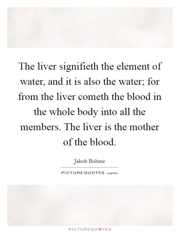 The liver signifieth the element of water, and it is also the water; for from the liver cometh the blood in the whole body into all the members. The liver is the mother of the blood. Picture Quote #1