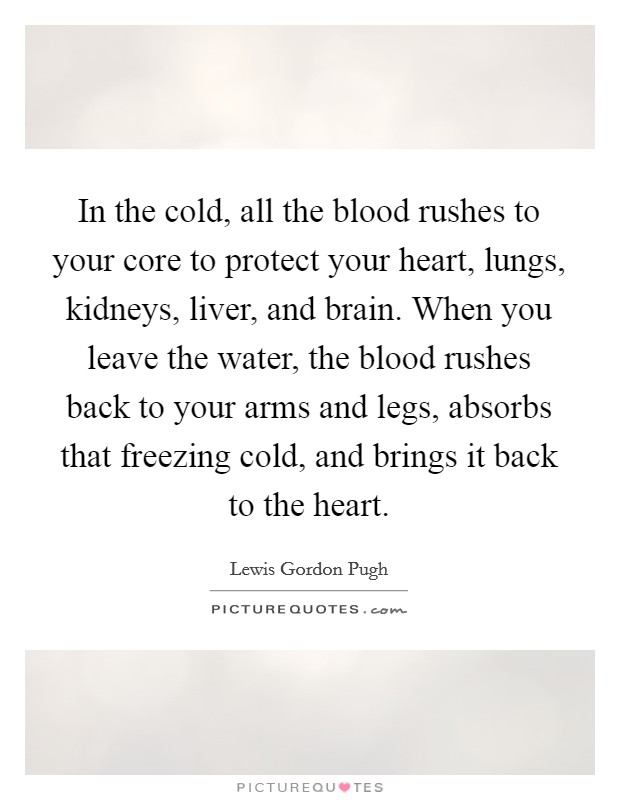 In the cold, all the blood rushes to your core to protect your heart, lungs, kidneys, liver, and brain. When you leave the water, the blood rushes back to your arms and legs, absorbs that freezing cold, and brings it back to the heart. Picture Quote #1
