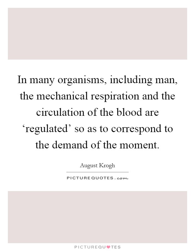 In many organisms, including man, the mechanical respiration and the circulation of the blood are ‘regulated' so as to correspond to the demand of the moment. Picture Quote #1