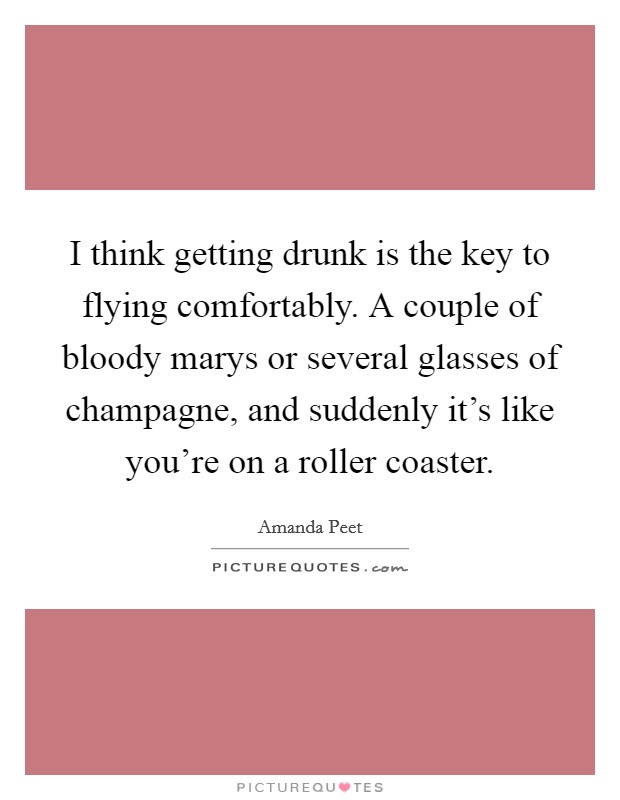 I think getting drunk is the key to flying comfortably. A couple of bloody marys or several glasses of champagne, and suddenly it's like you're on a roller coaster. Picture Quote #1