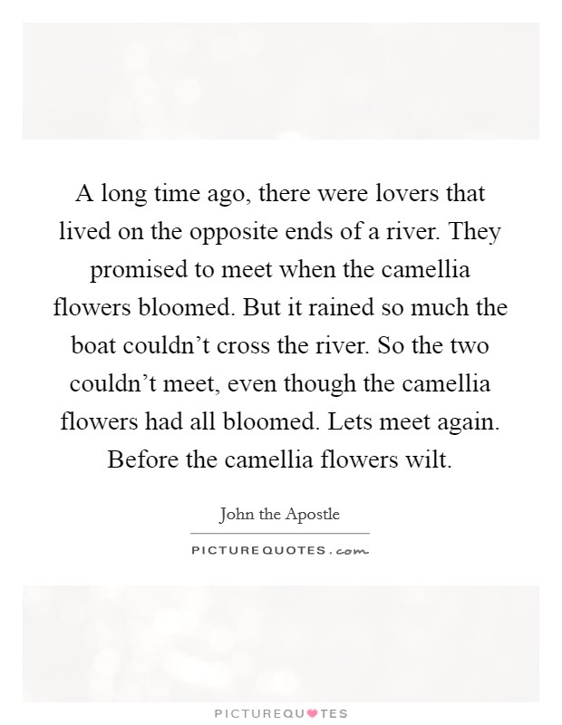 A long time ago, there were lovers that lived on the opposite ends of a river. They promised to meet when the camellia flowers bloomed. But it rained so much the boat couldn't cross the river. So the two couldn't meet, even though the camellia flowers had all bloomed. Lets meet again. Before the camellia flowers wilt. Picture Quote #1